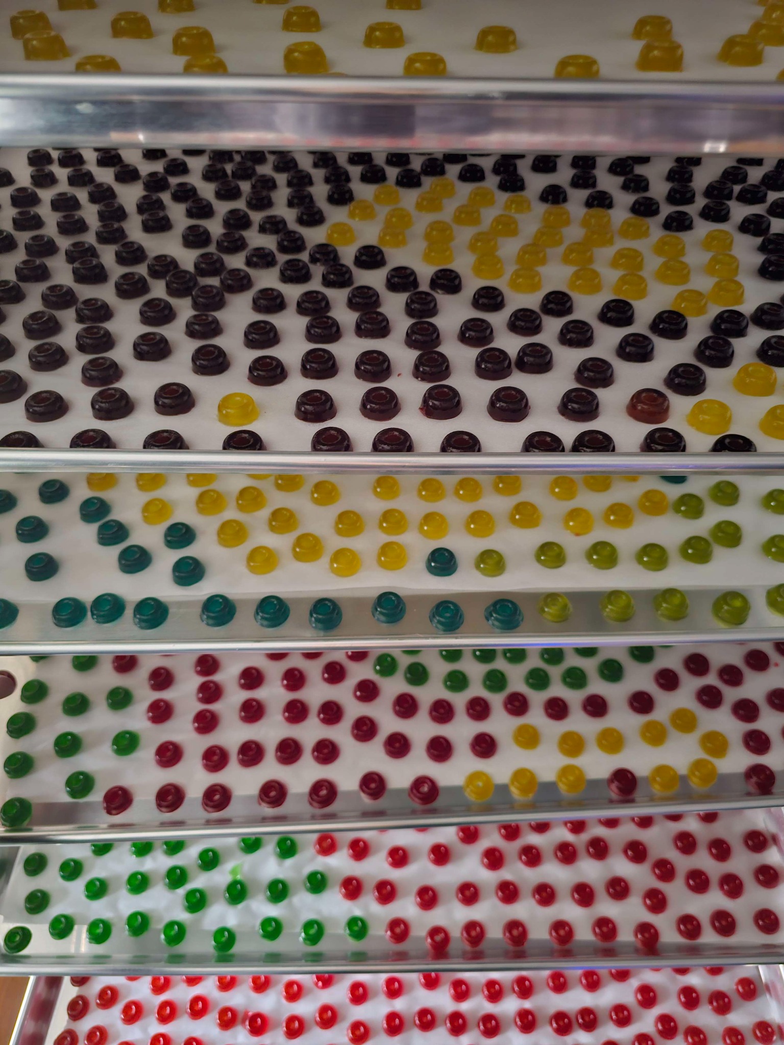 Colourful round gummies arranged in rows on drying racks